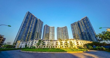 Sunshine Homes có kết quả kinh doanh tích cực trong quý III/2023