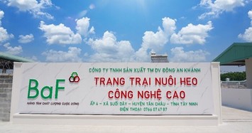 BAF thâu tóm 7 công ty chăn nuôi trong 1 tháng