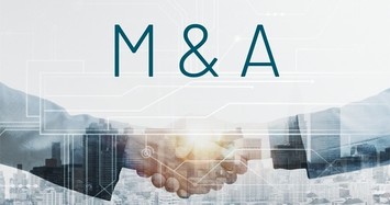 Các thương vụ M&A nổi bật năm 2024 