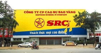 Lợi nhuận sau kiểm toán tăng 21%, Cao su Sao Vàng nói gì?