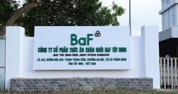 Giá heo neo cao, BAF lãi đậm quý 1 gần 134 tỷ đồng