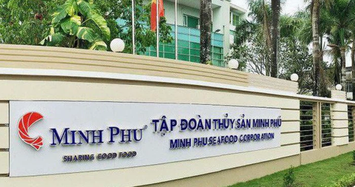 'Vua tôm' Minh Phú có lãi trở lại sau 2 quý lỗ liên tiếp