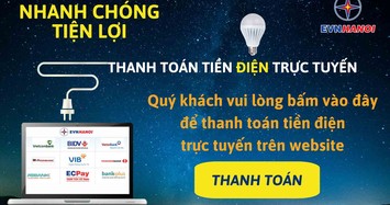 Dịch vụ điện trực tuyến cấp độ 4: Cấp độ đột phá trong ngành Điện