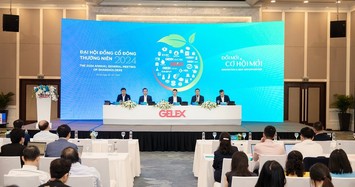 Năm 2024, GELEX sẽ cơ cấu lại danh mục đầu tư thế nào?