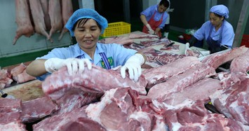 Giá heo hơi hôm nay 19/3: Cao nhất 85.000 đồng/kg, lãi 3 triệu/con