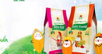 Gánh nặng giá vốn và lãi vay khiến Lộc Trời báo lỗ gần 81 tỷ quý 1