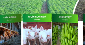 Vốn chủ 14.659 tỷ, Thagrico báo lãi 6 tháng hơn 6 tỷ đồng