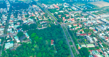 Đồng Nai: Giá nào cho hơn 6.000m2 đất tại Trảng Bom sắp đấu giá?