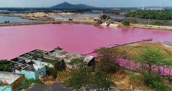 Ai là thủ phạm gây màu tím ngắt trên đầm nước ở Bà Rịa - Vũng Tàu?