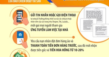 Một thanh niên ở Hải Phòng suýt mất hàng trăm triệu đồng vì sập bẫy việc làm tại nhà