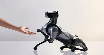 Chó robot sống động như thật