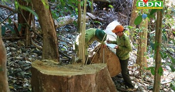 Ảnh minh họa: Nguồn:baodaknong.org.vn