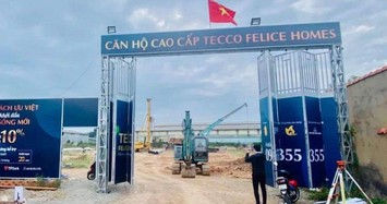 Tự ý đặt tên dự án là Căn hộ cao cấp Tecco Felice Homes, An Phú Land bị phạt 