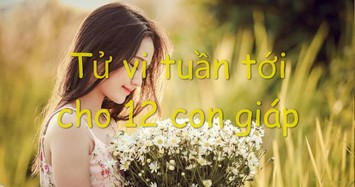 Tử vi tuần mới 12 con giáp từ 8 đến 14/7: Tuổi này bạc tiền đầy túi, tiêu xài xả láng 