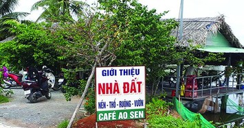 Môi giới bất động sản tự phát hoành hành