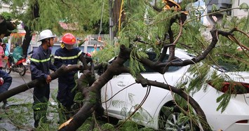 Bão số 4: Cây xanh gãy đổ ngổn ngang đè chết người trong giông lốc khủng