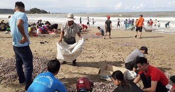 Dân Cửa Lò no nê “lộc biển” dạt đầy bờ sau bão