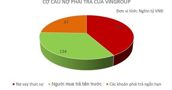 'Soi' nợ của Tập đoàn Vingroup 