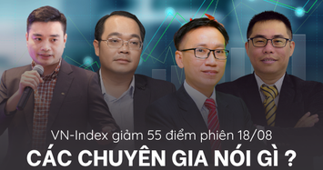 VN-Index giảm hơn 55 điểm phiên cuối tuần, các chuyên gia nói gì? 