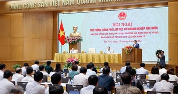 Kỳ vọng 'mỗi bộ, ngành có một Viettel, mỗi tỉnh, thành có một Becamex'