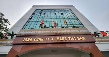 Vì sao thanh tra Vicem và 3 công ty con?