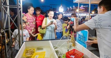 Lễ hội tôm hùm vắng... tôm hùm, Chủ tịch Cam Ranh nhận thiếu sót