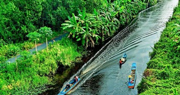 Sống trọn với thiên nhiên nơi đất rừng U Minh Hạ