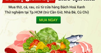 Người dân TP HCM chọn App đi chợ nào nhanh và tiện?