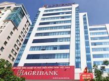 Agribank chi nhánh Phú Nhuận đấu giá nhiều tài sản để thu hồi nợ 