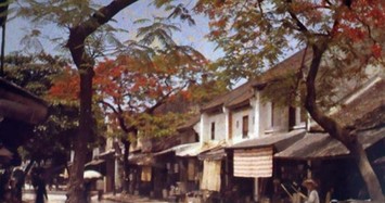 Ảnh màu Việt Nam những năm 1910 - 1930 đẹp như trong tranh