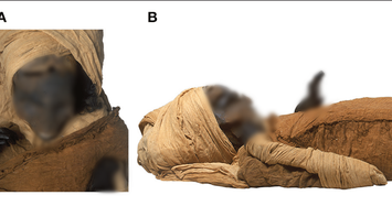 Phát hiện bất ngờ về cái chết của pharaoh Ai Cập