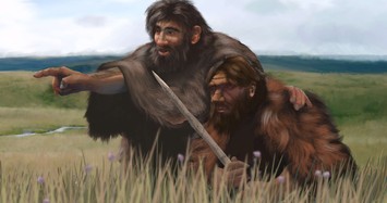 Người Neanderthal tương tác, giao phối với người hiện đại?