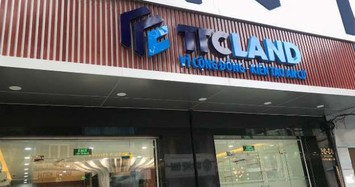 Thị giá SCR giảm sốc, TTC Trading dự chi 100 tỷ gom hơn 16 triệu cổ phiếu