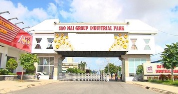 Tập đoàn Sao Mai báo lãi giảm 39% năm 2019, chỉ đạt 51% kế hoạch