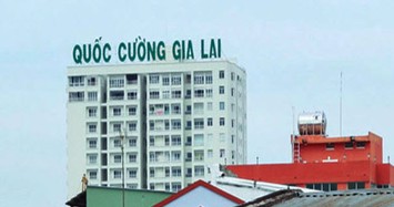 Lãi ròng quý 4/2019 của Quốc Cường Gia Lai lao dốc 89%, chỉ đạt hơn 6 tỷ đồng