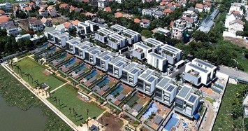 Nhà Đất Việt lỗ ngay 3 tỷ đồng trong quý 1/2020