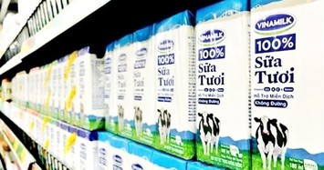 Cổ phiếu bật tăng trở lại, Vinamilk sẽ mua 17,5 triệu cổ phiếu quỹ từ 21/5