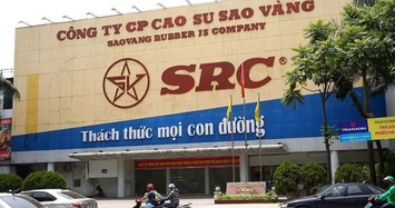 Cao su Sao Vàng bi truy thu và nộp hơn 1,6 tỷ đồng vì khai sai thuế