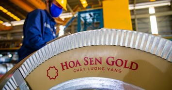 Hoa Sen chốt thời gian để xin ý kiến mua 22 triệu cổ phiếu quỹ