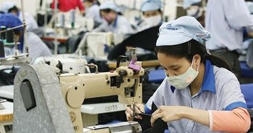 TCM đặt kế hoạch lãi ròng tăng 5% lên 290 tỷ đồng năm 2021