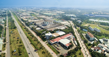 Lãi quý 2 của SNZ giảm 26% về còn 179 tỷ đồng