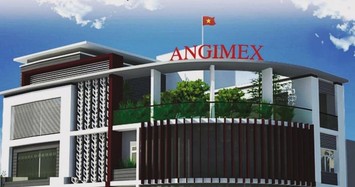 Angimex cùng nhóm Louis đầu tư dự án 1.450 tỷ ở Long Xuyên