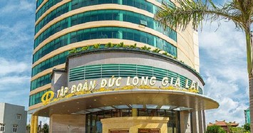 Đức Long Gia Lai thoái toàn bộ vốn 2 công ty con 