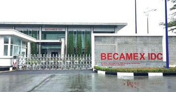 BCM ước lợi nhuận quý 4/2021 giảm tốc đến 89%