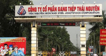 Nhờ hoàn nhập chi phí, Gang thép Thái Nguyên thoát lỗ quý 4 