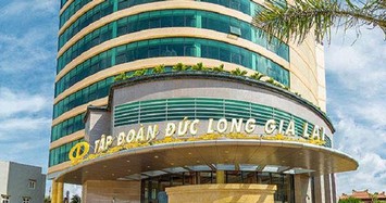 Đức Long Gia Lai báo lỗ hơn 13 tỷ đồng trong quý 4/2021