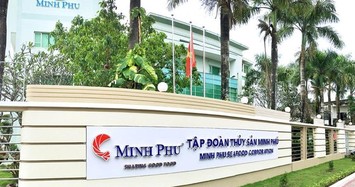 'Vua tôm' Minh Phú báo lãi ròng quý 1 đạt 90 tỷ đồng