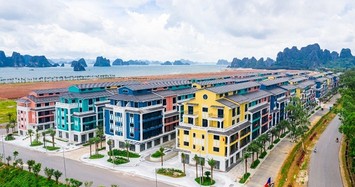 CEO Group sắp phát hành 252 triệu cổ phiếu với giá chiết khấu 65% so thị giá