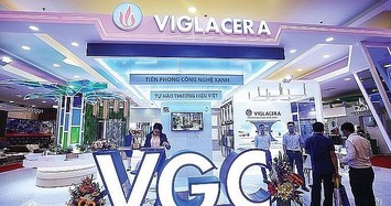 Viglacera dự chi 448 tỷ đồng tạm ứng cổ tức 2022