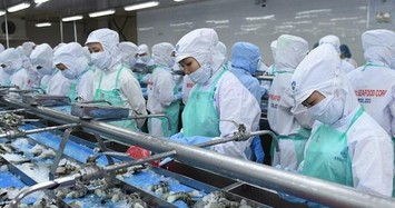 Sao Ta (FMC): Doanh số tiêu thụ tháng 10 đi lùi so tháng trước